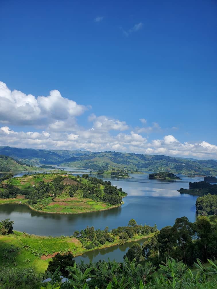 Curated Multi-Day Safari Offers
